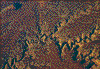 Click on thumbnail to view a full-size image