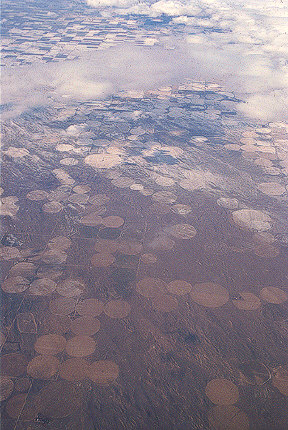 Farm Fields of XIX century