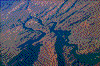 Click on thumbnail to view a full-size image