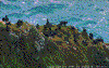 Click on thumbnail to view a full-size image