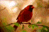 Click on thumbnail to view a full-size image