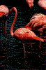 Click on thumbnail to view a full-size image