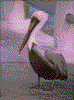 Click on thumbnail to view a full-size image
