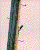 Click on thumbnail to view a full-size image