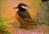Click on thumbnail to view a full-size image