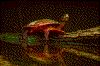 Click on thumbnail to view a full-size image