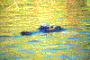 Click on thumbnail to view a full-size image