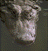Click on thumbnail to view a full-size image