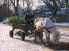 Click on thumbnail to view a full-size image