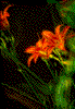 Click on thumbnail to view a full-size image
