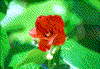 Click on thumbnail to view a full-size image