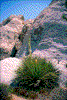 Click on thumbnail to view a full-size image