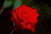 Click on thumbnail to view a full-size image