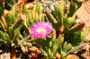 Click on thumbnail to view a full-size image