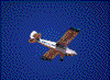 Click on thumbnail to view a full-size image