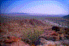 Click on thumbnail to view a full-size image