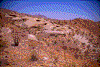 Click on thumbnail to view a full-size image