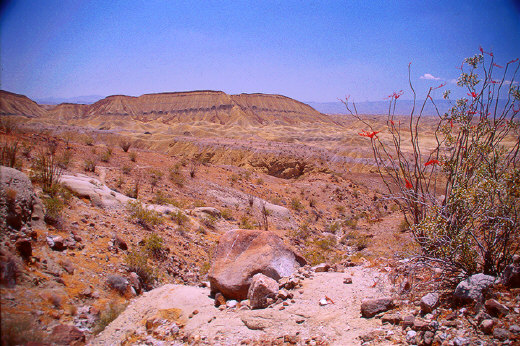 The Carrizo Badlands