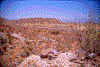 Click on thumbnail to view a full-size image