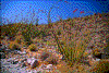 Click on thumbnail to view a full-size image