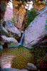 Click on thumbnail to view a full-size image