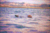 Click on thumbnail to view a full-size image