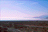 Click on thumbnail to view a full-size image