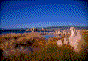 Click on thumbnail to view a full-size image