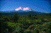 Click on thumbnail to view a full-size image
