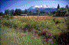 Click on thumbnail to view a full-size image