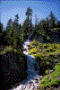 Click on thumbnail to view a full-size image