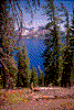 Click on thumbnail to view a full-size image