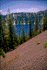 Click on thumbnail to view a full-size image