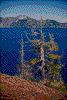 Click on thumbnail to view a full-size image