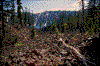 Click on thumbnail to view a full-size image
