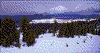 Click on thumbnail to view a full-size image