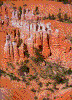 Click on thumbnail to view a full-size image