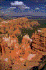 Click on thumbnail to view a full-size image