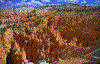 Click on thumbnail to view a full-size image