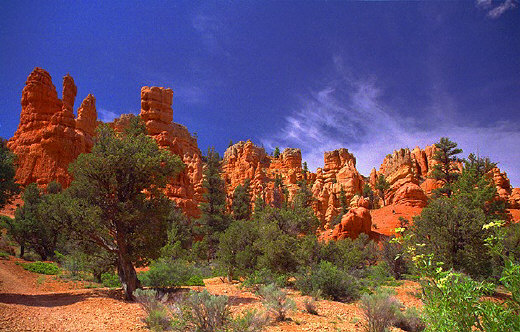 Red Canyon