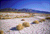 Click on thumbnail to view a full-size image