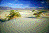 Click on thumbnail to view a full-size image