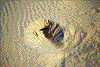 Click on thumbnail to view a full-size image