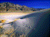 Click on thumbnail to view a full-size image