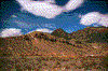 Click on thumbnail to view a full-size image