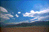 Click on thumbnail to view a full-size image