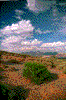 Click on thumbnail to view a full-size image