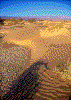 Click on thumbnail to view a full-size image