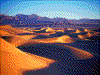 Click on thumbnail to view a full-size image