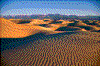 Click on thumbnail to view a full-size image